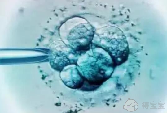 2022年在JDII做试管婴儿的冷冻胚胎移植费用大概是多少？