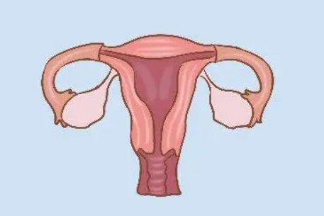 德州捐卵：如果妇女的子宫不符合试管婴儿的要求，结果可能不乐观