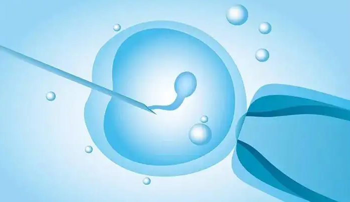 徐州借卵试管助孕生子流程-山东省妇幼保健院的试管婴儿怎么样？这家医院做试管婴儿的生育专家有哪些？